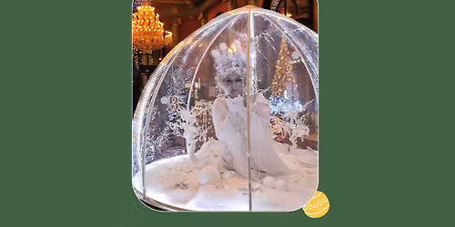 Boules de neige : magie et f\u00e9erie au rendez-vous !