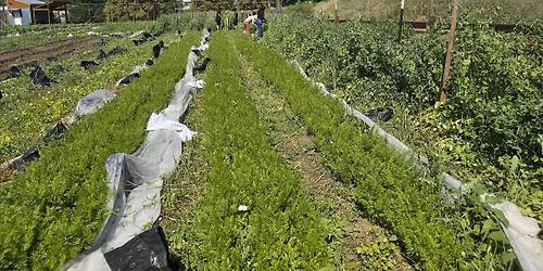 Shabbat Dinner at Ekar Farm with Denver Doikayt