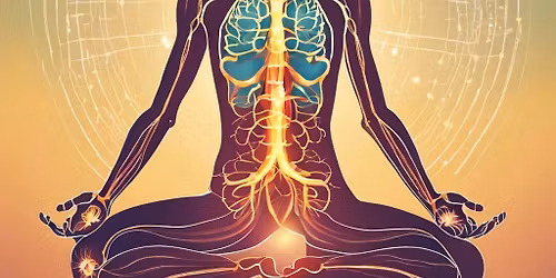 Inner Path to Wellbeing: the Vagus Nerve (6week course)