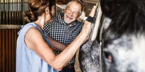 Discover Horses: hands-on horsemanship for all ages