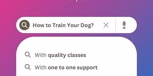 General Obedience Dog Class - Taster Session