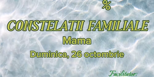 WORKSHOP DE CONSTELA\u021aII FAMILIALE
