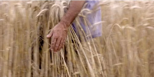 Du travail paysan au travail documentaire : les films et le parcours de Jean-Jacques Rault