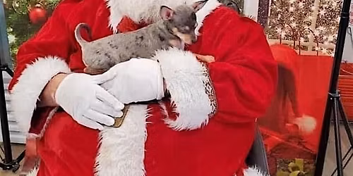 A Unicorn Christmas Class with Santa, his reindeer, Anna & Intro to Riding