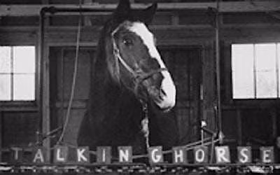 Guided Historic Walking Tour