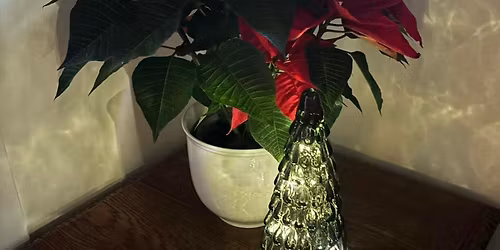 The Lavender Club Christmas dance