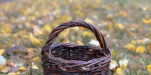 Willow Round Basket