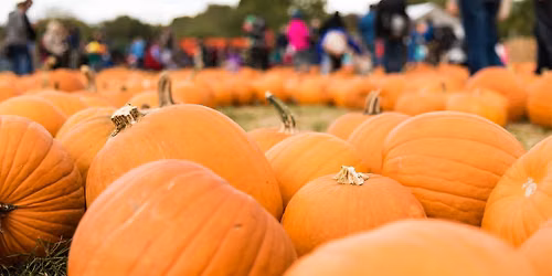 2026 Annual Harvest Festival at Barr Lake State Park