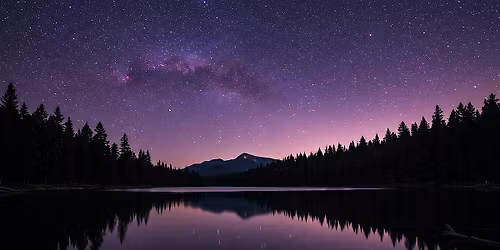 The Music of Stillness