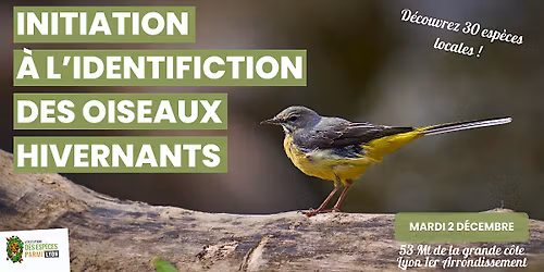 Initiation \u00e0 l'identification des oiseaux hivernants
