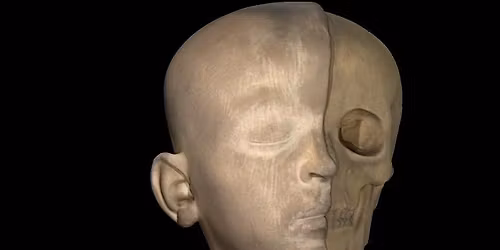 Anatomical Museum, Public Open Day, Saturday 29th November