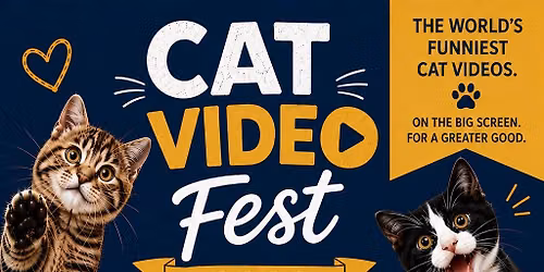 Cat Video Fest