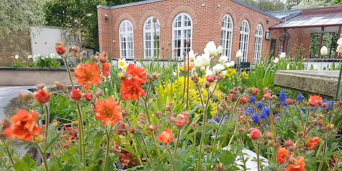 V\u00e5rmarknad i H\u00e4lsotr\u00e4dg\u00e5rden