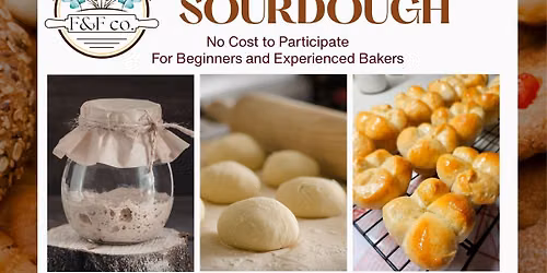 All You Knead to Know About Sourdough