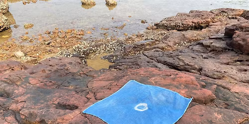 \u5929\u7136\u67d3\u6599\u5de5\u4f5c\u574a Natural Indigo Dye Workshop w\/ Benjamin Hao