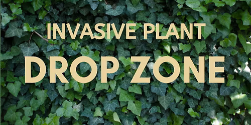 Invasive Plant Drop Zone