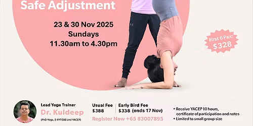 10-hour Yoga workshop: The Art of Alignment & Hands-on Safe Adjustment