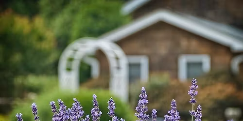 Baubles & Blooms