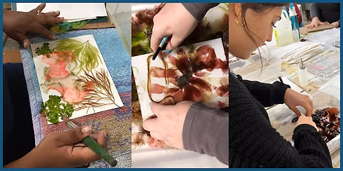 Seaweed Pressing Workshop in Newport