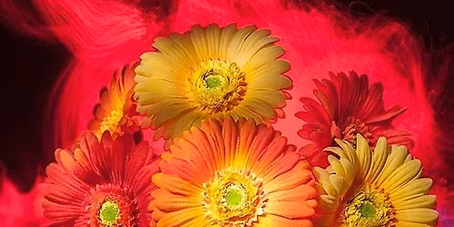 Henry's Newmarket: Light Painting - Bryan