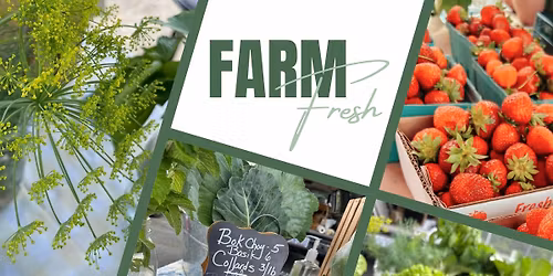 2026 Mocksville Farmers' Market