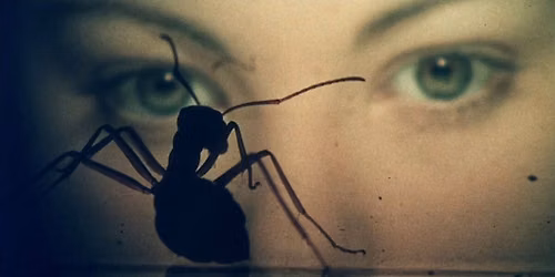 PHASE IV (1974) *Special Price