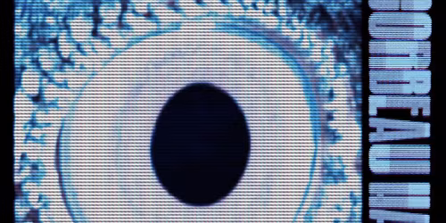 Corbeau Hangs at Paper Tiger