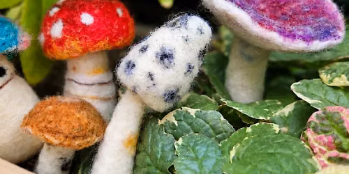 Fabulous Felted Fungi Workshop