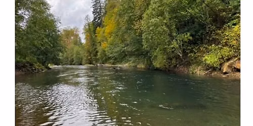 Salmon Viewing with Naturalists