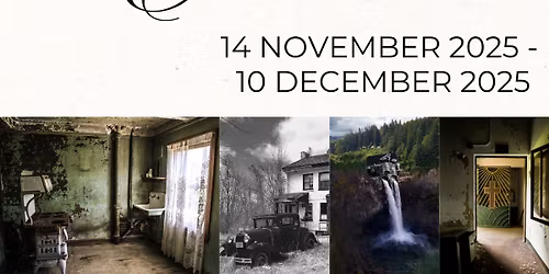 Meet the Artist - Lisa Frederick