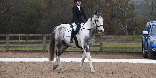 Dressage Competition
