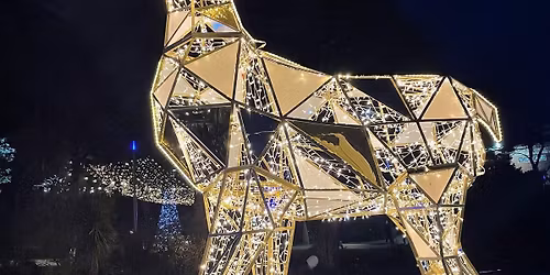 SOCIAL Boxing Day mountain bike ride