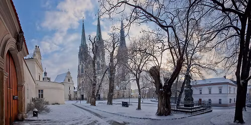 V\u00e1no\u010dn\u00ed mini design trh MUO