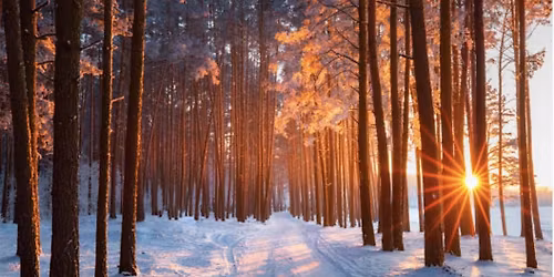 Roots Of The Season: Healing Wisdom for Wellness & Balance, Winter Workshop