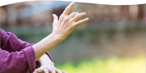 Tai Chi and Qigong: A Journey to Relaxation and Inner Balance