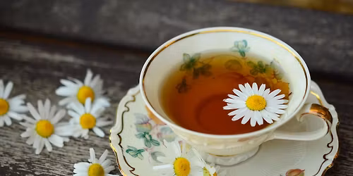 Alice's Magical Tea Party