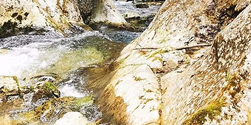 Splendorile naturii la Cheile Butii, Cheile Sohodolului,Cheile Bani\u021bei