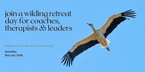 Nature Day Retreat - Summer