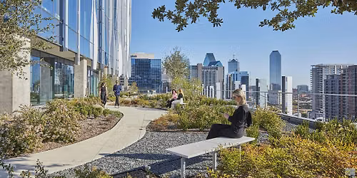 Regenerative Cities: In Response to Climate Change