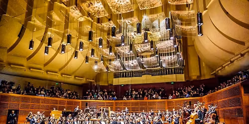 San Francisco Symphony - Ray Chen Plays Sibelius
