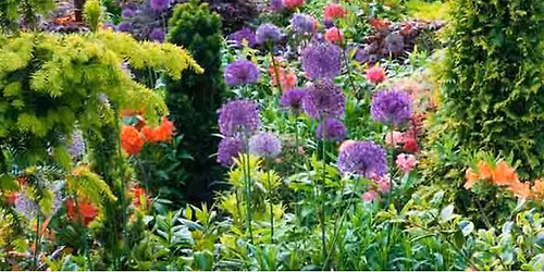 Planting For the Future