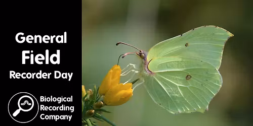 General Field Recorder Day