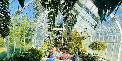 Yoga Among the Plants