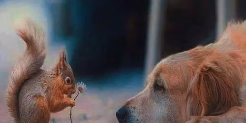 Rencontre \u00e0 Toulouse