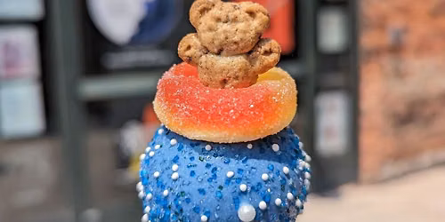 Teddy Graham Pool Party Cake Pop Decorating Class