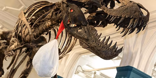 Stan's Secret Santa...Wellbeing Wednesday, Sing-a-Long!