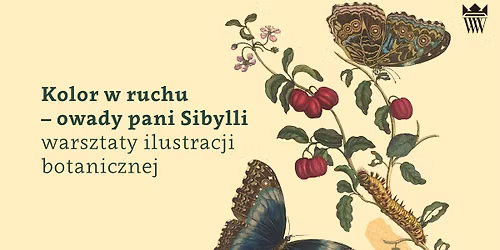 Kolor w ruchu \u2013 owady pani Sibylli | warsztaty ilustracji botanicznej