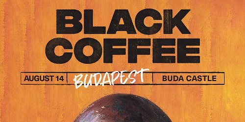 Black Coffee @ Buda Castle by City Takeover x BSH Events