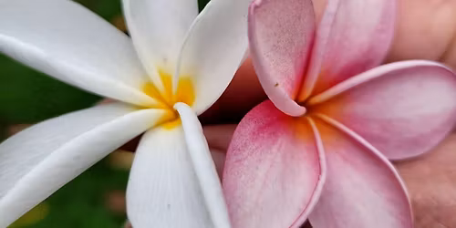 FIRST FRIDAY FORT WORTH