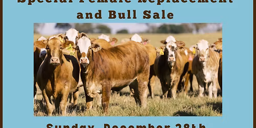 Special Female Replacement and Bull Sale